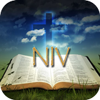 Audio Bible (NIV) أيقونة