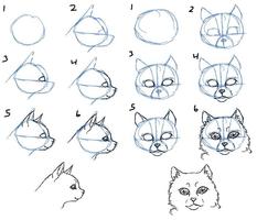如何繪製：面部和眼睛 截圖 1