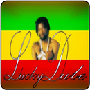 Lucky Dube Music APK