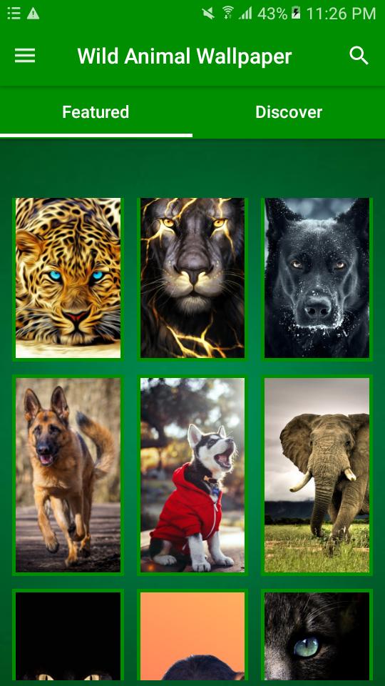 Wild Animal Wallpapers HD APK voor Android Download Wild Animal Wallpapers HD APK voor Android Download