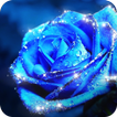 Blue Rose Theme – AppLock