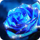 Blue Rose icon