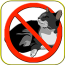 ANTI CAT APK