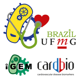 iGEM UFMG アイコン