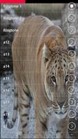 برنامه‌نما Tiger Sound Terpopuler عکس از صفحه