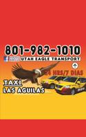 Eagle Taxi Affiche