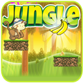 Monkey Jungle Run