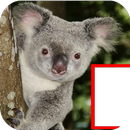 Australia Fun Photo Frames APK