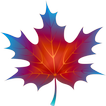 3D 🍁🍃🍂 Autumn Maple Leaves 