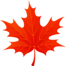 🍁 🍂🍃 Autumn Maple Leaves 3D APK
