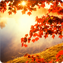Autumn Live Wallpaper HD-APK