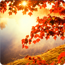 Autumn Live Wallpaper HD APK