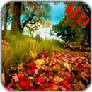 Autumn Season Live Wallpaper! APK