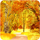 Autumn wallpaper آئیکن