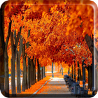 Autumn Wallpapers for Chat icône