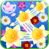 Crazy Blossom Garden