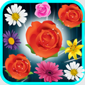 Blossom Match 3