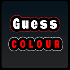 guess colour icône