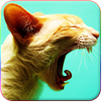 Kedi Sesleri APK