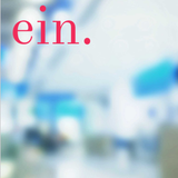 Ein Demo Application icon
