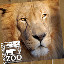 Cincinnati Zoo aplikacja