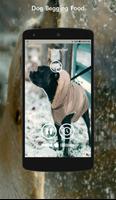 Dog Sounds screenshot 3