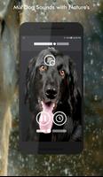 Dog Sounds screenshot 1