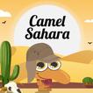 Camel Aventura : Sahara