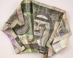 Riyal Money Wallpapers capture d'écran 3