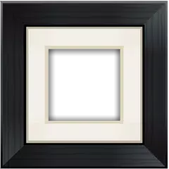 Aviary Frames: <span class=red>Original</span>