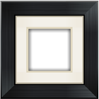 Aviary Frames: Original simgesi