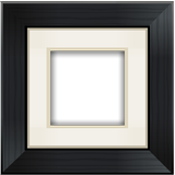 Aviary Frames: Original icon