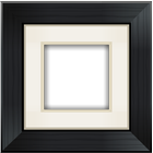 Aviary Frames: Original ikon