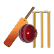 ”Cricket: Earn n Learn