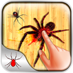 Smashy Spider Hit Kill slayer 2D