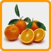 Fruits Name Quiz APK