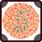 Guess Color Number Blind 2017 icône