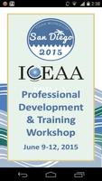 ICEAA 2015 الملصق