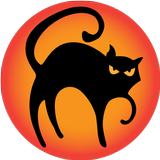 The Black Cat icône