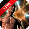 Human Anatomy Learning APK