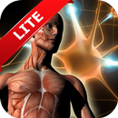 Human Anatomy Learning-APK