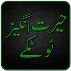 Totkay in Urdu icône