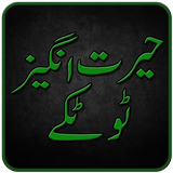 Totkay in Urdu ikona