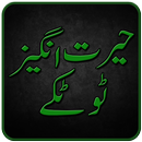 Totkay in Urdu APK