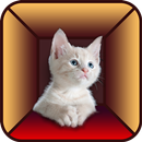 Cat Simulator aplikacja