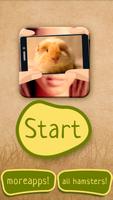 What hamster are you? poster