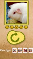 What hamster are you? screenshot 3