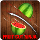 Fruit Cut Ninja 3D icône