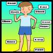 Learn English Body Parts ( For Kid )