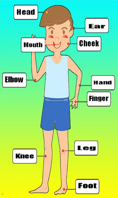 Learn English Body Parts APK for Android Download